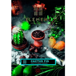 Табак Element Water Cactus Fig 100г