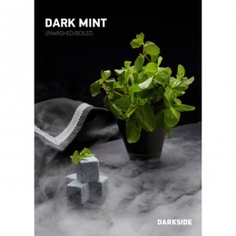 Табак для кальяна DARKSIDE Dark Mint 100 г